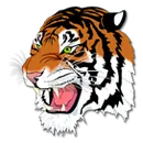 Shady Spring High School logo
