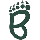 St. Bede Academy logo