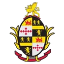 Dulaney High School logo