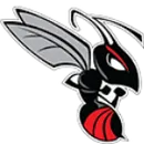 Heyworth High School logo