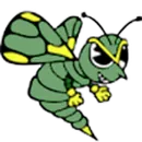 Brown County High School logo