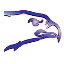 Ellinwood High School logo