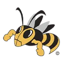 Fulton High School logo