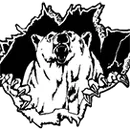Varsity Coed Volleyball Multi-team Event logo