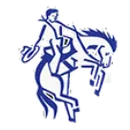 Western Reserve High School - Collins logo