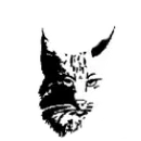 Richmond High School logo