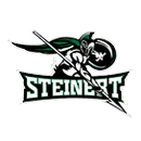 Steinert High School  East logo