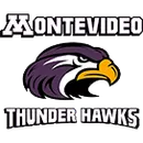 Montevideo High School logo