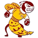 Brookville High School logo