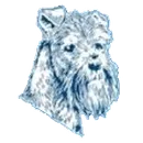 West Springfield High School logo
