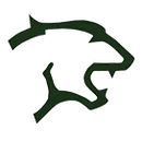 Arthur P Schalick High School logo