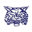 Wilmington High School logo