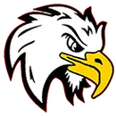 Northeast Academy logo