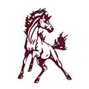 Bovina High School logo