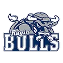 Hickory Ridge High School logo