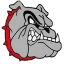 Mexico High School logo