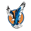 Vienna High School logo