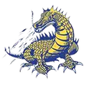 De Witt High School logo