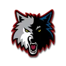 North Sevier High School logo
