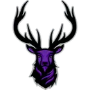 Elkins High School logo