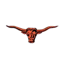Newcastle High School logo
