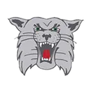 Canton South logo