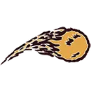 Northern Michigan Christian High School logo