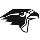 Burlington Township High School logo