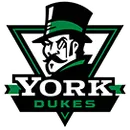 York High School logo