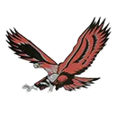 Hudson High School logo