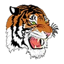 Lyndonville High School logo