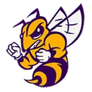 Chester High School logo