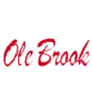 Brookhaven High School logo