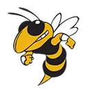 Hinsdale South High School logo