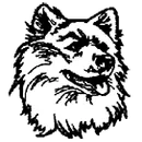 Bishop Carroll Catholic High School logo