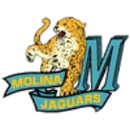 Molina High School logo