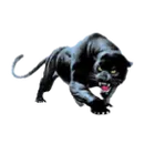 Commodore Perry High School logo