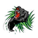 Palmetto Ridge High School logo