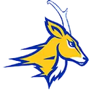 Whiteface High School logo