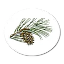 Timber Ridge School logo