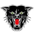 Dexter High School logo