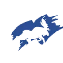 Palmer High School logo
