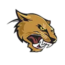 Austin High School logo