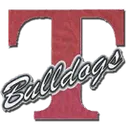 Terry High School logo
