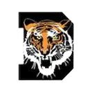 Dover High School logo
