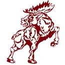 Alamosa High School logo