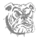 Madison Area Memorial High School logo