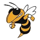 Franklin High School logo