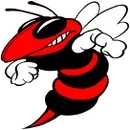 Lincoln High School logo