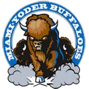 Miami-Yoder High School logo